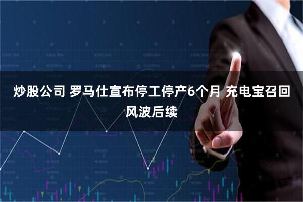 炒股公司 罗马仕宣布停工停产6个月 充电宝召回风波后续