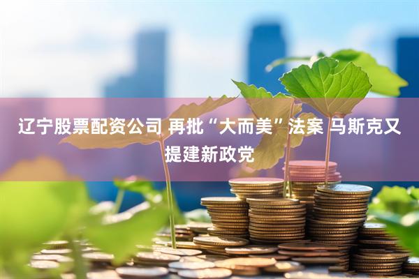 辽宁股票配资公司 再批“大而美”法案 马斯克又提建新政党