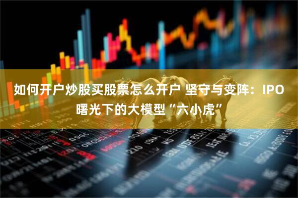 如何开户炒股买股票怎么开户 坚守与变阵：IPO曙光下的大模型“六小虎”