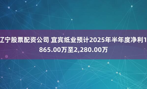 辽宁股票配资公司 宜宾纸业预计2025年半年度净利1,865.00万至2,280.00万