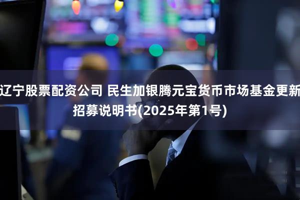 辽宁股票配资公司 民生加银腾元宝货币市场基金更新招募说明书(2025年第1号)