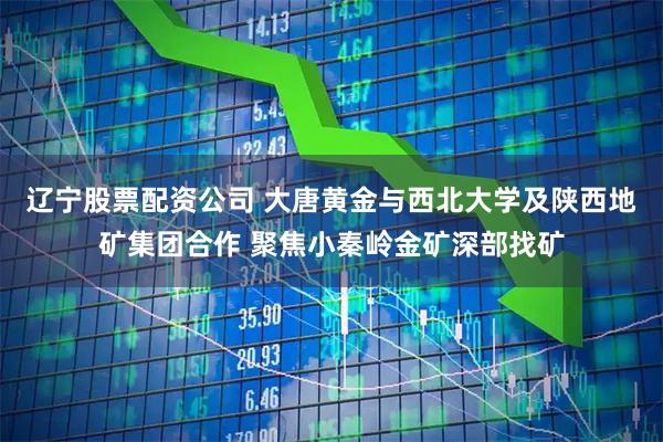 辽宁股票配资公司 大唐黄金与西北大学及陕西地矿集团合作 聚焦小秦岭金矿深部找矿