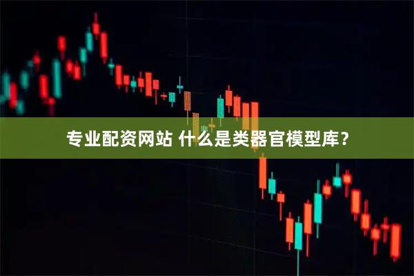 专业配资网站 什么是类器官模型库?