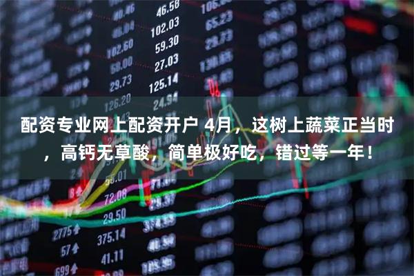配资专业网上配资开户 4月，这树上蔬菜正当时，高钙无草酸，简单极好吃，错过等一年！