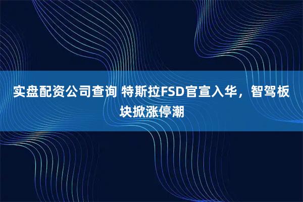 实盘配资公司查询 特斯拉FSD官宣入华，智驾板块掀涨停潮